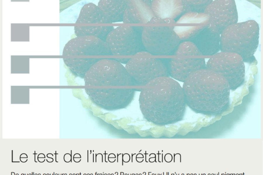fraises (1).png